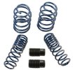 Lowering Springs